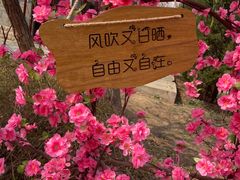 -北京凤凰岭