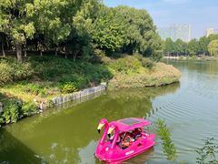 -大兴滨河森林公园