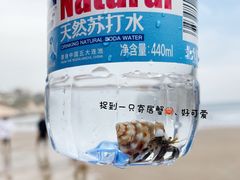 -南麂列岛