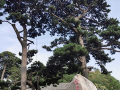 -妙峰山风景名胜区