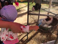 -萌宠亲子动物乐园(槐房万达店)