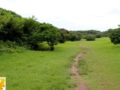 -鹅銮鼻公园