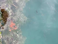 -蓝湾碧波·老字号·疍家非遗海上餐厅