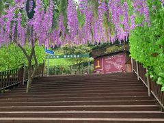 -太湖源风景区