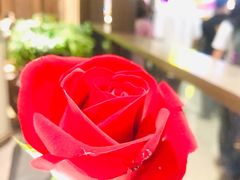 -关夫人餐厅(阳光广场店)