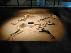 -洛阳周王城天子驾六博物馆