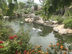 -芽庄珍珠岛游乐园