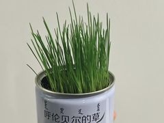 -很久以前羊肉串(清河店)
