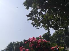 -顺丰轩园林酒家(天河店)