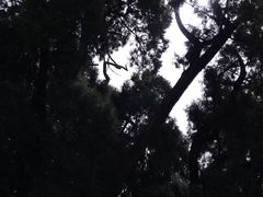 -四门塔风景区