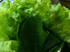 -青松大叔的店(东财店)