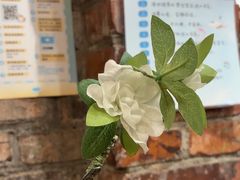 -猫的天空之城概念书店(景德镇陶溪川店)