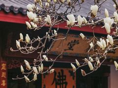 -杭州上天竺法喜讲寺