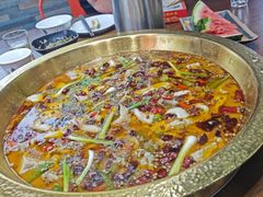 -云鱿记鱿鱼鸡·野生菌火锅(人民南路店)
