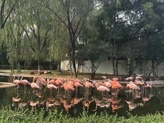 -石家庄市动物园