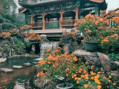 -红螺寺