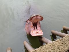 -杭州野生动物世界