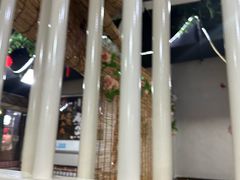 -金三可市井水煮鱼(金碧园店)