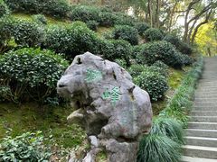 -十八棵（老龙井）御茶园(老龙井店)