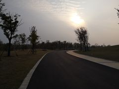 -盘龙城国家考古遗址公园