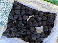 -西郊国际农产品交易中心