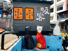 -猫咪博物馆(顶澳仔猫街店)