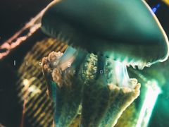 -华夏文旅西安度假区