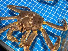 -三亚火车头万人海鲜广场