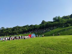 -羊山湖公园