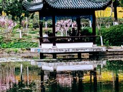 -月湖风景区