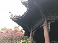 -峨眉山报国寺
