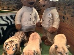 -济州岛泰迪熊博物馆