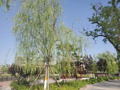 -西海子公园