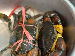 -七欣天香辣蟹火锅(万达广场店)