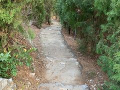 -解放济南战役茂岭山战场遗址