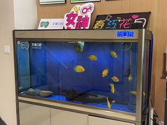 -艾维口腔(春江花月门诊部)