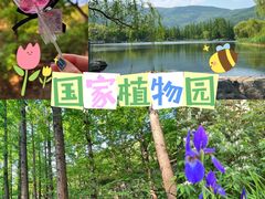 -国家植物园