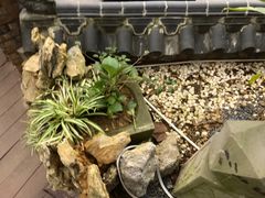 -伴山茶苑·围炉煮茶