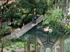 -海南清水湾莱佛士酒店