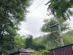 -西双版纳原始森林公园
