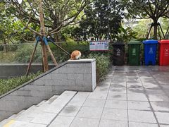 -广州市白云区图书馆