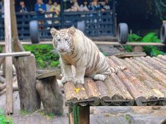 -广州长隆野生动物世界