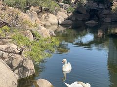 -罗红摄影艺术馆