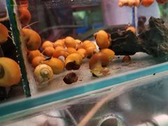 -三旗百汇商品城