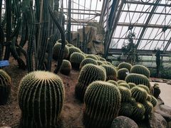 -南山植物园