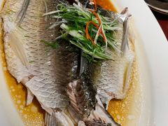 -清远恒大酒店·寻味清远