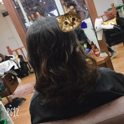 中发-美梵日系沙龙