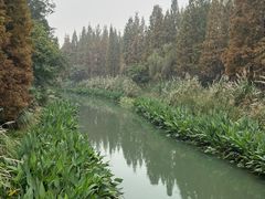 -金沙遗址博物馆