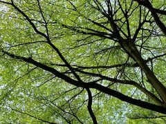 -广州市第二少年宫