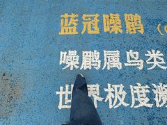 -婺源月亮湾